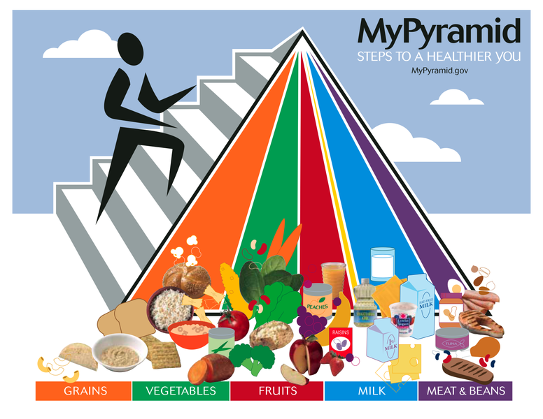 Health pyramid. The updated USDA food pyramid, published in 2005, is a general nutrition guide for recommended food consumption.