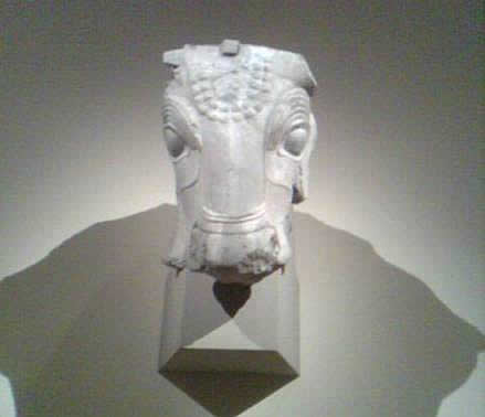 'Bull's had from the top of a column, Limestone. Southwestern Iran, excavated at Istakhr, near Persepolis.
